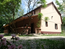 Rural accommodation at  Cabana Valea Avrigului Ovidiu