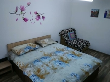 Cabana Valea Avrigului Ovidiu - accommodation in  Fagaras and nearby (09)