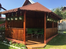 Vila Nadia - accommodation in  Fagaras and nearby, Muscelului Country (06)