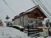 Vila Nadia - alloggio in  Fagaras e vicinanze, Tara Muscelului (10)