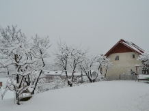 Vila Nadia - accommodation in  Fagaras and nearby, Muscelului Country (12)