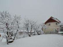 Vila Nadia - alloggio in  Fagaras e vicinanze, Tara Muscelului (12)