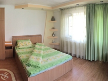 Vila Nadia - accommodation in  Fagaras and nearby, Muscelului Country (16)