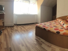 Vila Nadia - accommodation in  Fagaras and nearby, Muscelului Country (20)