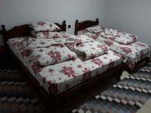 Pensiunea Casa Iulia - accommodation in  Sibiu Surroundings, Motilor Country, Transalpina (06)