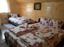 Pensiunea Casa Iulia - accommodation in  Sibiu Surroundings, Motilor Country, Transalpina (10)