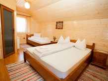 Pensiunea Casa Iulia - accommodation in  Sibiu Surroundings, Motilor Country, Transalpina (11)