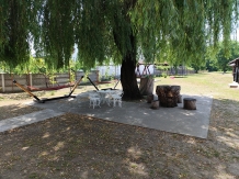 Pensiunea Venera - accommodation in  Oltenia (23)