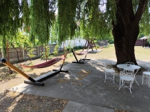 Pensiunea Venera - accommodation in  Oltenia (28)