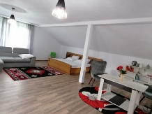 Casa Broscuta - cazare Valea Oltului, Horezu (19)