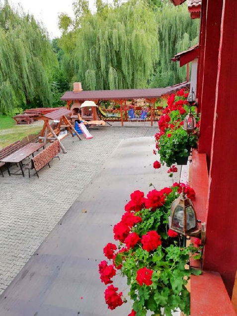 Casa Broscuta - alloggio in  Valea Oltului, Horezu (Attivit&agrave; e i dintorni)