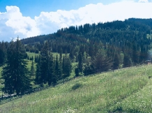 Cabana Doina - alloggio in  Vatra Dornei, Bucovina (08)