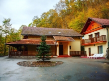 Rural accommodation at  Pensiunea Valea Gepisului
