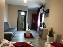 Pensiunea Wellion - accommodation in  Harghita Covasna (05)