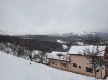 Pensiunea Ioana - accommodation in  Apuseni Mountains (11)