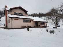 Pensiunea Ioana - accommodation in  Apuseni Mountains (13)