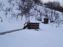 Pensiunea Ioana - accommodation in  Apuseni Mountains (15)