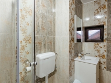 Pensiunea Ioana - accommodation in  Apuseni Mountains (29)