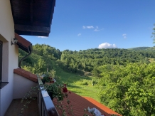 Pensiunea Ioana - accommodation in  Apuseni Mountains (30)