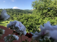 Pensiunea Ioana - accommodation in  Apuseni Mountains (31)
