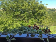 Pensiunea Ioana - accommodation in  Apuseni Mountains (61)