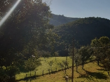 Pensiunea Ioana - accommodation in  Apuseni Mountains (55)