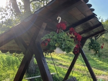 Pensiunea Ioana - accommodation in  Apuseni Mountains (65)