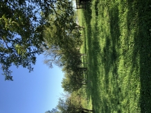 Pensiunea Ioana - accommodation in  Apuseni Mountains (73)