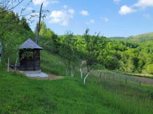 Pensiunea Ioana - accommodation in  Apuseni Mountains (66)