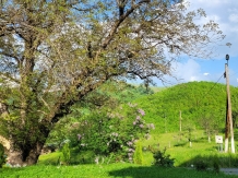 Pensiunea Ioana - accommodation in  Apuseni Mountains (68)