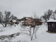 Pensiunea Ioana - accommodation in  Apuseni Mountains (69)