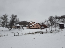 Pensiunea Ioana - accommodation in  Apuseni Mountains (70)
