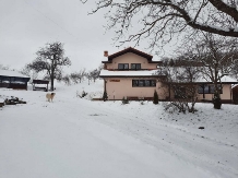 Pensiunea Ioana - accommodation in  Apuseni Mountains (71)