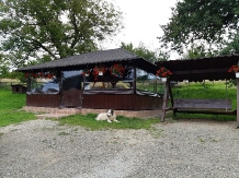 Pensiunea Ioana - accommodation in  Apuseni Mountains (82)