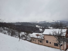 Pensiunea Ioana - accommodation in  Apuseni Mountains (75)