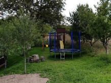 Pensiunea Ioana - accommodation in  Apuseni Mountains (85)