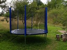 Pensiunea Ioana - accommodation in  Apuseni Mountains (87)