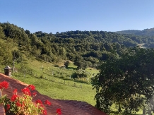 Pensiunea Ioana - accommodation in  Apuseni Mountains (90)