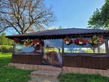 Pensiunea Ioana - accommodation in  Apuseni Mountains (93)