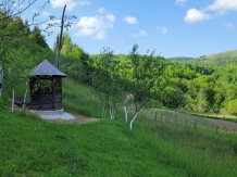 Pensiunea Ioana - accommodation in  Apuseni Mountains (95)