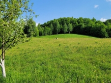 Pensiunea Ioana - accommodation in  Apuseni Mountains (96)