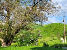 Pensiunea Ioana - accommodation in  Apuseni Mountains (97)
