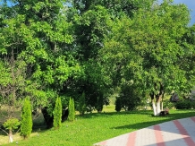 Pensiunea Ioana - accommodation in  Apuseni Mountains (98)