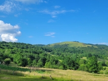 Pensiunea Ioana - accommodation in  Apuseni Mountains (101)