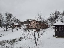 Pensiunea Ioana - accommodation in  Apuseni Mountains (103)