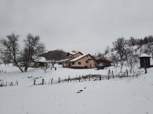 Pensiunea Ioana - accommodation in  Apuseni Mountains (104)