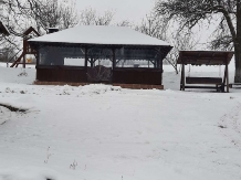 Pensiunea Ioana - accommodation in  Apuseni Mountains (106)