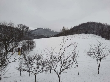 Pensiunea Ioana - accommodation in  Apuseni Mountains (107)