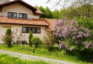 Pensiunea Ioana - Toata pensiunea