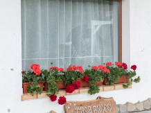 Casa Bucegi - cazare Rucar - Bran, Moeciu, Bran (05)